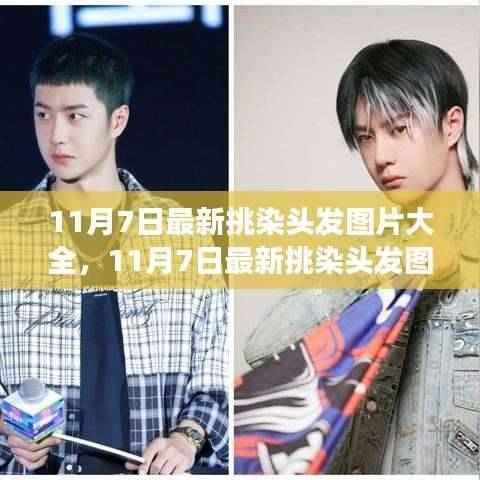 时尚潮流下的个性展现,最新挑染头发图片大全