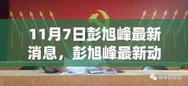 彭旭峰最新动态及要点解析(11月7日更新)
