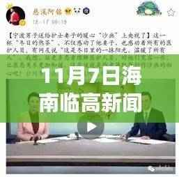 海南临高温馨日常新闻故事，爱在阳光四溢的11月7日