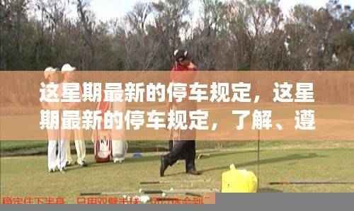 最新停车规定详解，理解、遵守与适应新变化的重要性