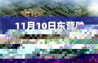 11月10日东营胜宏荣域最新动态详解，掌握最新资讯的指南