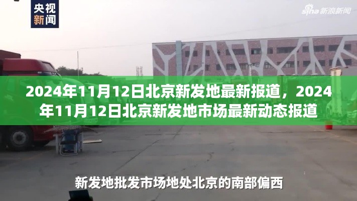 北京新发地市场最新动态报道(2024年11月12日更新)