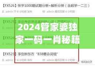 2024管家婆独家一码一肖秘籍，高效解决难题_速达版CEZ756.18