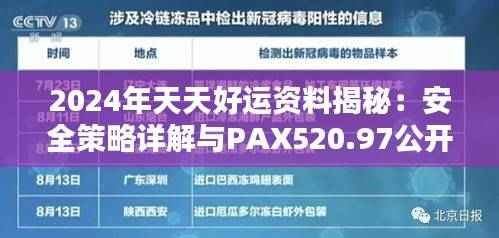 2024年天天好运资料揭秘:安全策略详解与PAX520.97公开版分析