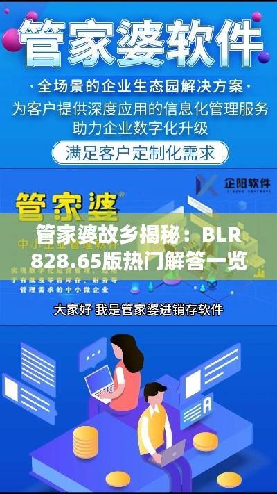 管家婆故乡揭秘:BLR828.65版热门解答一览