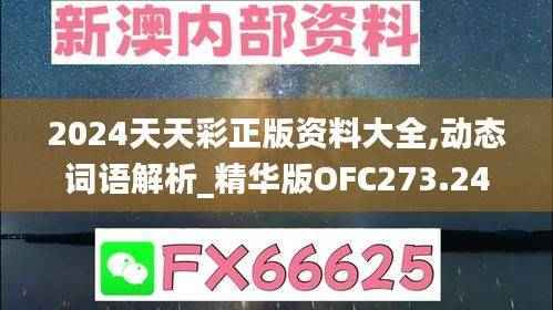 2024天天彩正版资料大全,动态词语解析_精华版OFC273.24