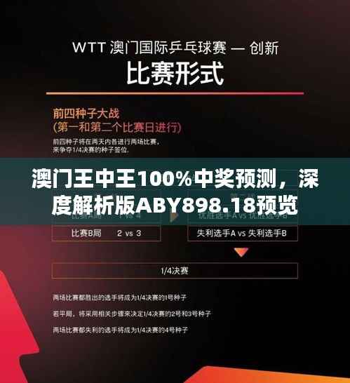 澳门王中王100%中奖预测,深度解析版ABY898.18预览