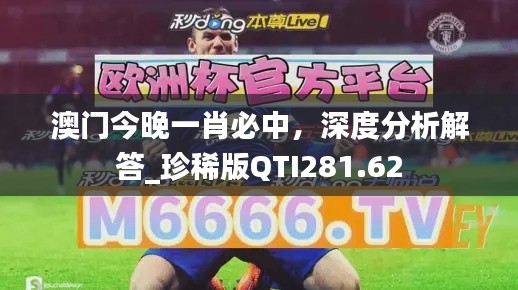 澳门今晚一肖必中,深度分析解答_珍稀版QTI281.62
