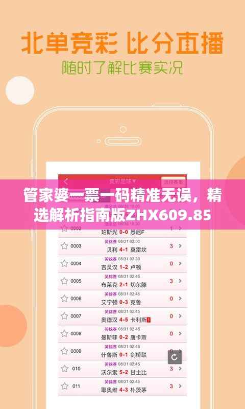 管家婆一票一码精准无误,精选解析指南版ZHX609.85