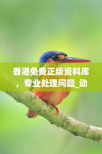 香港免费正版资料库,专业处理问题_动态版JLV701.66