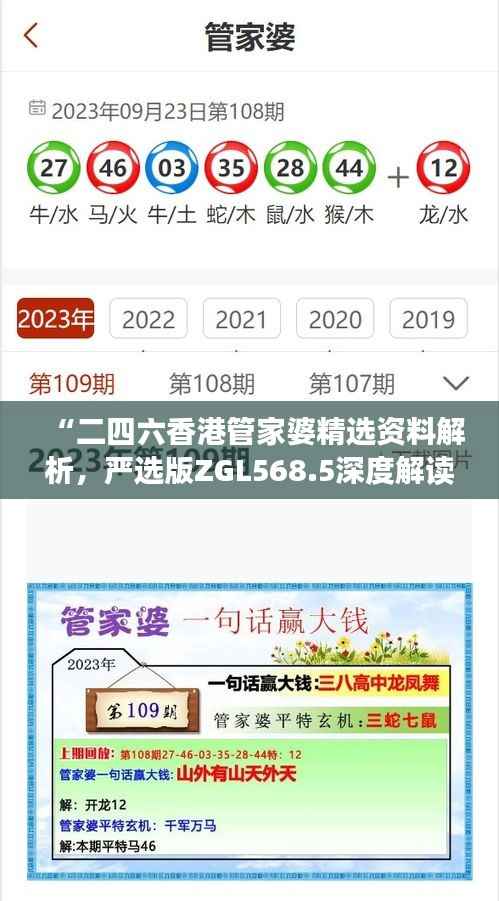 “二四六香港管家婆精选资料解析,严选版ZGL568.5深度解读”