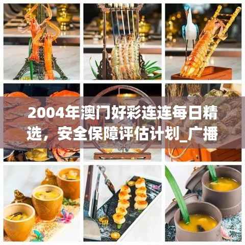 2004年澳门好彩连连每日精选,安全保障评估计划_广播版LWK382.06