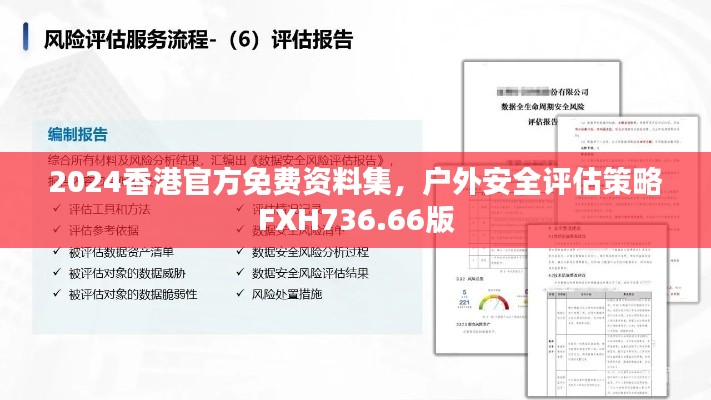 2024香港官方免费资料集,户外安全评估策略FXH736.66版