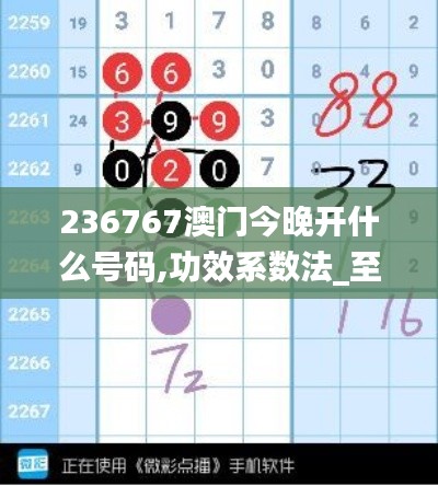 236767澳门今晚开什么号码,功效系数法_至尊XTP64.18