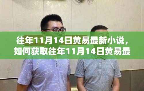 黄易最新小说获取指南，往年11月14日详细步骤解析