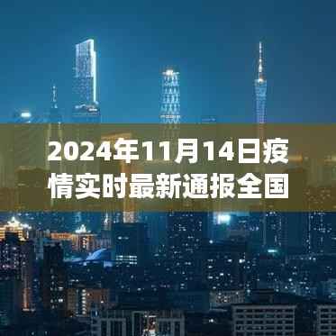 2024年11月14日全国疫情实时最新通报与深度评测
