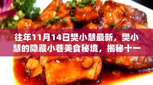 樊小慧隐藏小巷美食秘境，揭秘十一月独特风味的美食之旅
