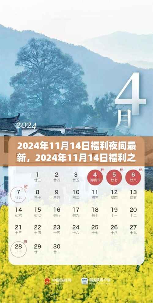 星光璀璨之夜，2024年福利狂欢盛宴