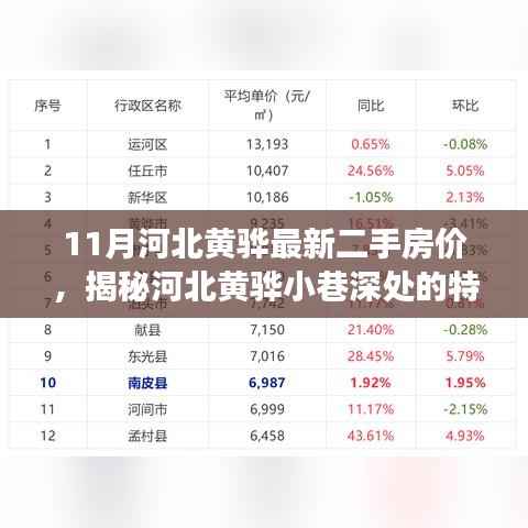 河北黄骅11月最新二手房价揭秘，特色小店与房价背后的故事