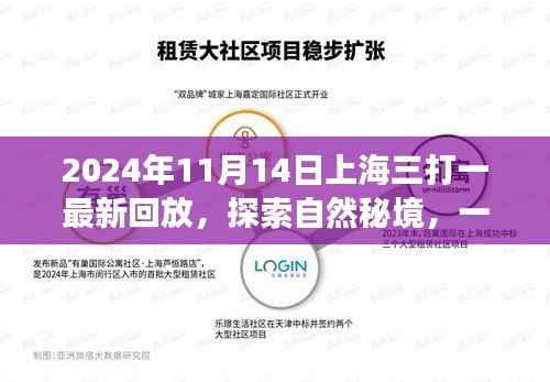 上海三打一启发的探索自然秘境之旅,最新回放与宁静之旅体验