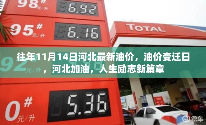 河北油价变迁日,励志加油,开启人生新篇章