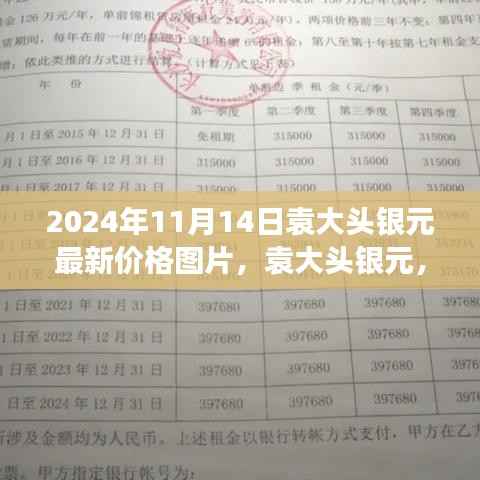 袁大头银元最新价格与价值展现,探索2024年11月14日的最新动态及图片