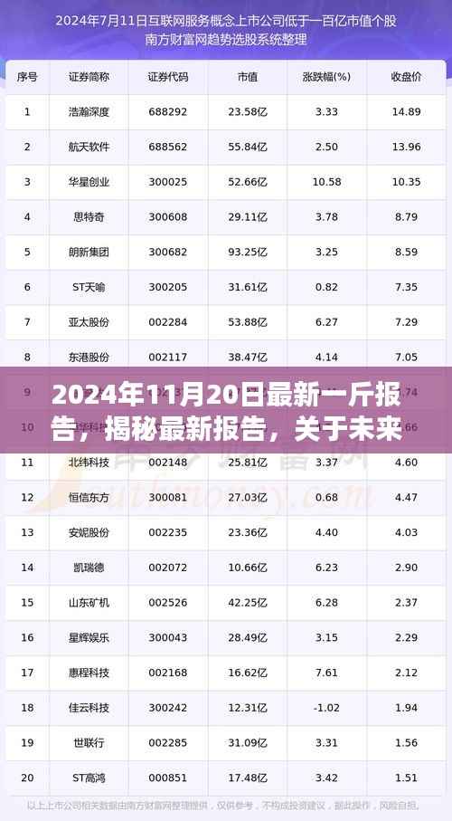 揭秘未来日期，深度解析2024年11月20日三大要点报告