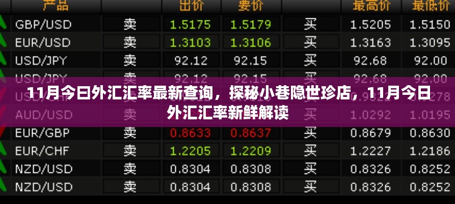 最新外汇汇率解析与小巷隐世珍店探秘,11月今日一览