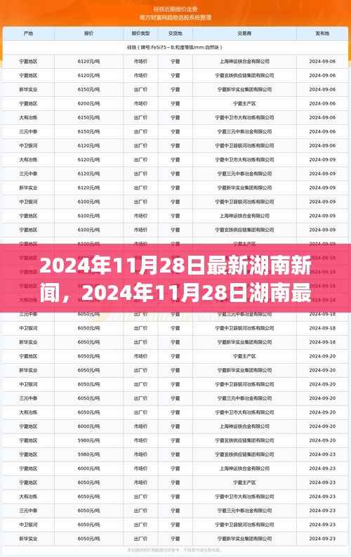湖南新闻聚焦，最新动态与事件报道（2024年11月28日）