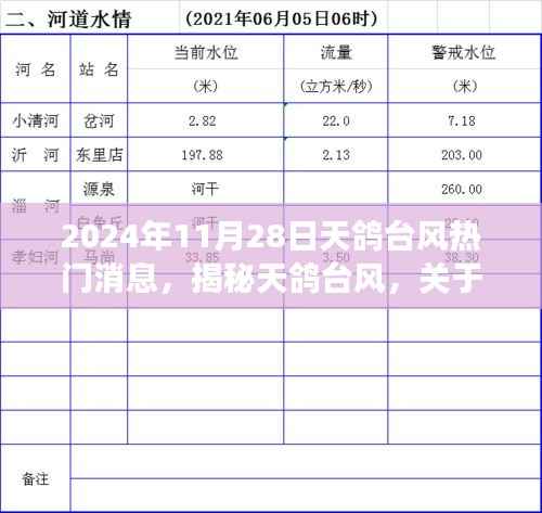 揭秘天鸽台风,深度解读即将到来的2024年11月28日热门消息与动态