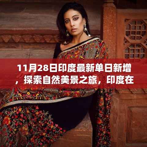 印度最新单日新增背景下,秋日自然美景的心灵之旅探索静谧生机