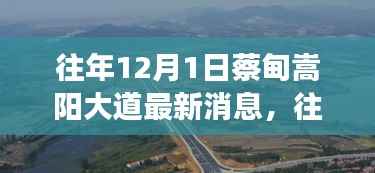 往年12月1日蔡甸嵩阳大道最新进展及消息概述