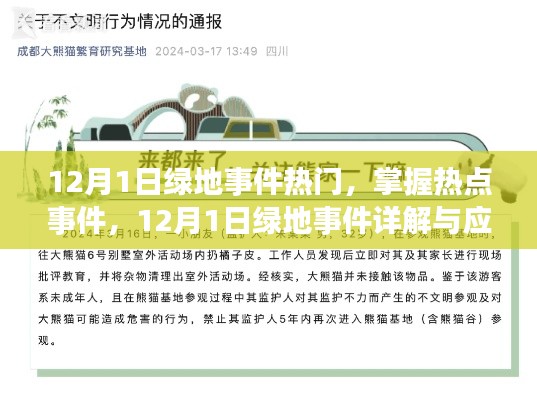 走马观花 第17页