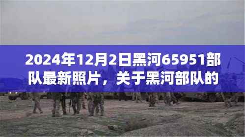 关于黑河部队的最新照片及其历史影响分析，揭秘犯罪行为的背后故事与部队现状的探讨（最新照片曝光）