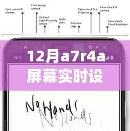 12月A7R4A相机屏幕实时设置,与自然美景共舞,寻找内心的宁静之地