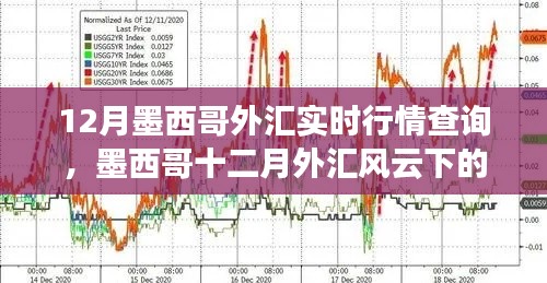 墨西哥十二月外汇行情实时解析,温情日常与外汇风云的交织