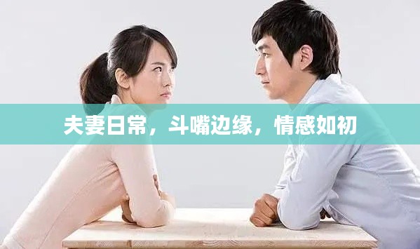 夫妻日常,斗嘴边缘,情感如初