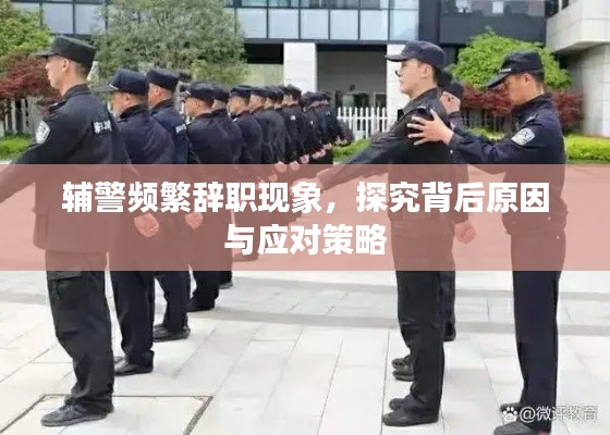 辅警频繁辞职现象，探究背后原因与应对策略