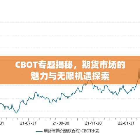 CBOT专题揭秘，期货市场的魅力与无限机遇探索