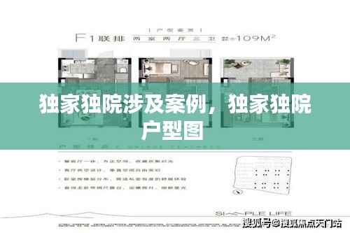 独家独院涉及案例,独家独院户型图