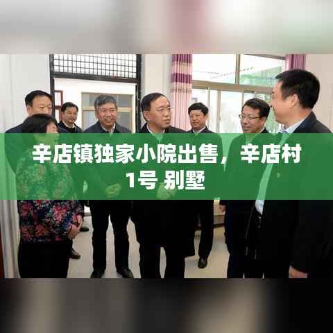 辛店镇独家小院出售,辛店村1号 别墅