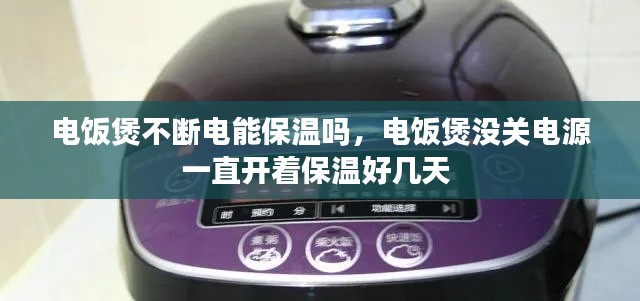 电饭煲不断电能保温吗,电饭煲没关电源一直开着保温好几天