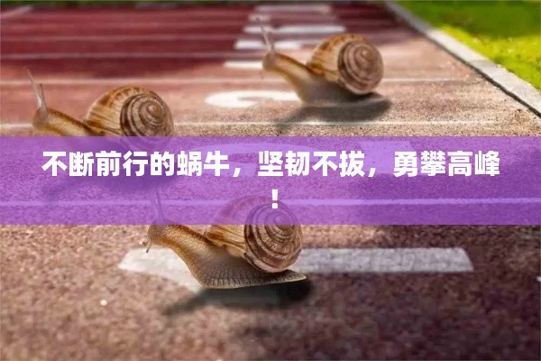 不断前行的蜗牛,坚韧不拔,勇攀高峰!