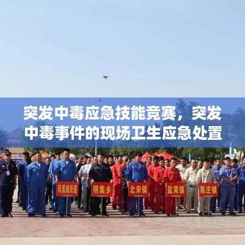 突发中毒应急技能竞赛,突发中毒事件的现场卫生应急处置主要包括