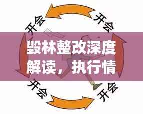 毁林整改深度解读,执行情况一览无遗