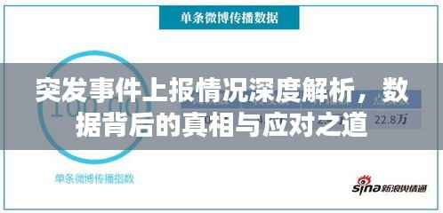 突发事件上报情况深度解析，数据背后的真相与应对之道