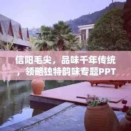 信阳毛尖,品味千年传统,领略独特韵味专题PPT文章解析