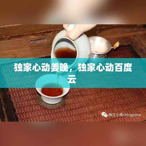 独家心动姜晚,独家心动百度云