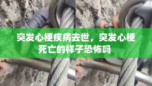 突发心梗疾病去世,突发心梗死亡的样子恐怖吗