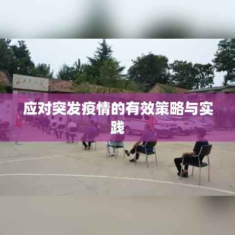 应对突发疫情的有效策略与实践